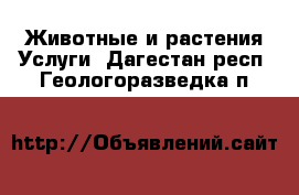 Животные и растения Услуги. Дагестан респ.,Геологоразведка п.